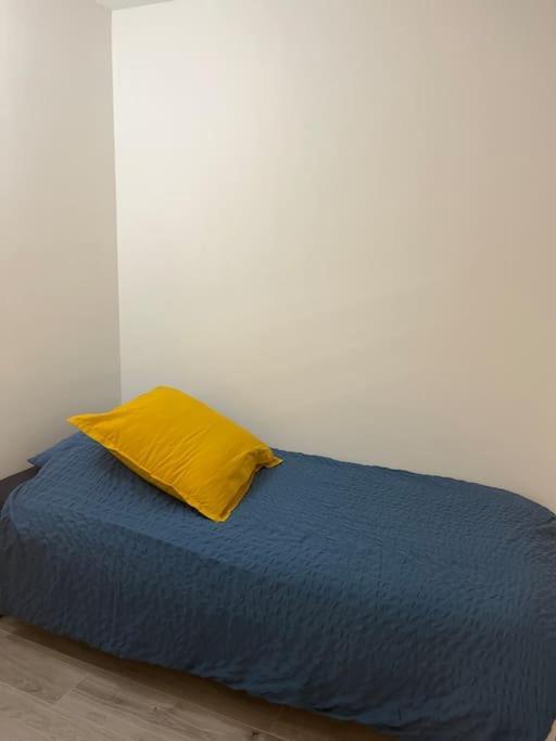 2 Pieces De 29 M2 Apartment Cannes